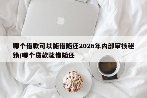 哪个借款可以随借随还2026年内部审核秘籍/哪个贷款随借随还