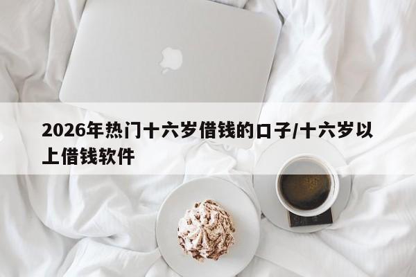 2026年热门十六岁借钱的口子/十六岁以上借钱软件