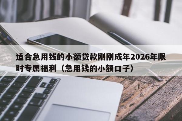 适合急用钱的小额贷款刚刚成年2026年限时专属福利(急用钱的小额口子)