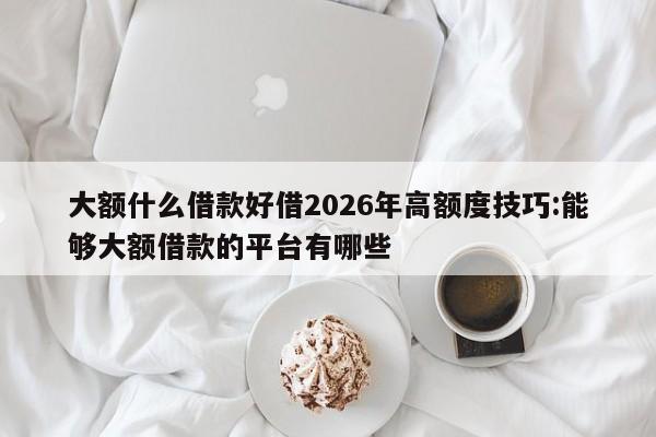 大额什么借款好借2026年高额度技巧:能够大额借款的平台有哪些