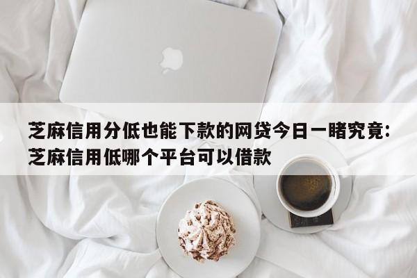 芝麻信用分低也能下款的网贷今日一睹究竟:芝麻信用低哪个平台可以借款