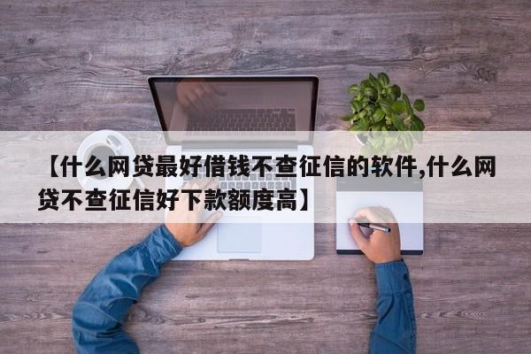 【什么网贷最好借钱不查征信的软件,什么网贷不查征信好下款额度高】