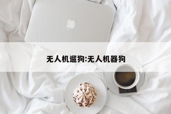 无人机遛狗:无人机器狗