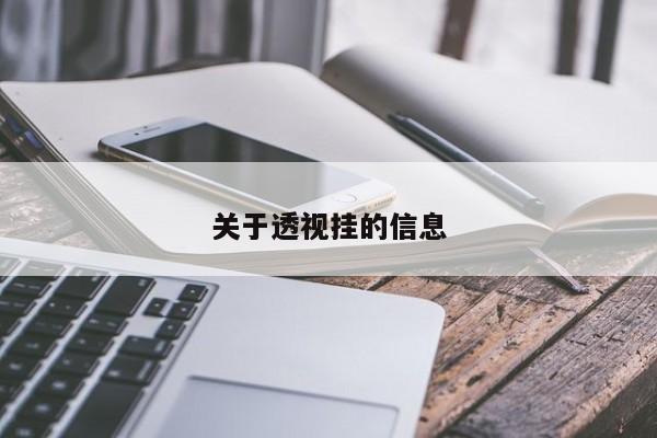 关于透视挂的信息