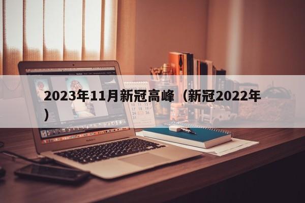 2023年11月新冠高峰(新冠2022年)