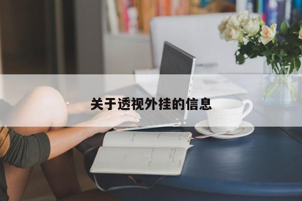 关于透视外挂的信息