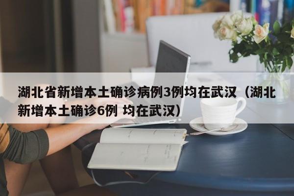 湖北省新增本土确诊病例3例均在武汉(湖北新增本土确诊6例 均在武汉)