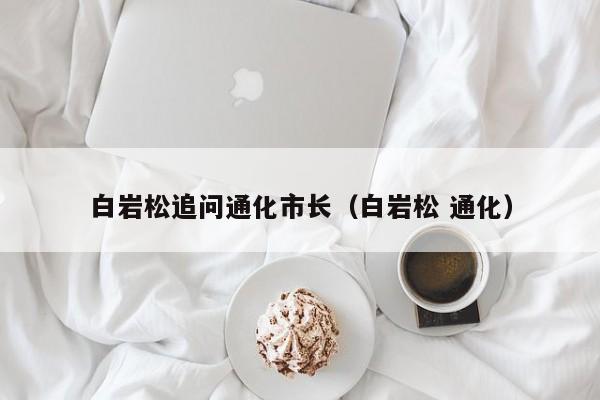 白岩松追问通化市长（白岩松 通化）
