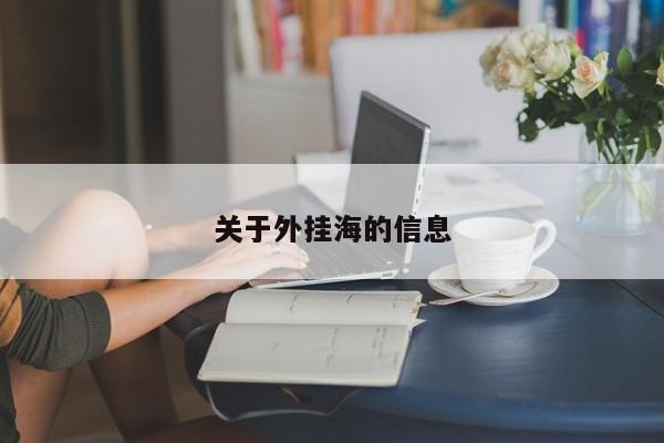 关于外挂海的信息