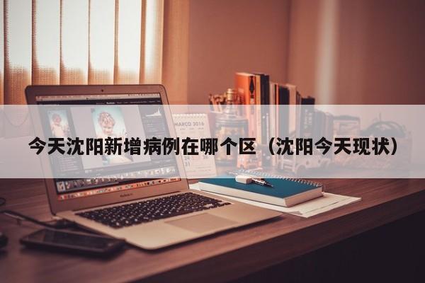 今天沈阳新增病例在哪个区（沈阳今天现状）