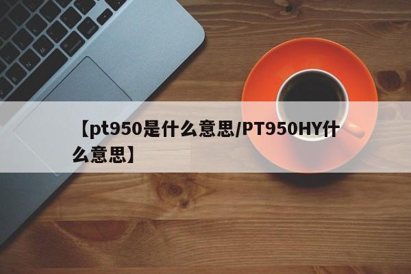 【pt950是什么意思/PT950HY什么意思】