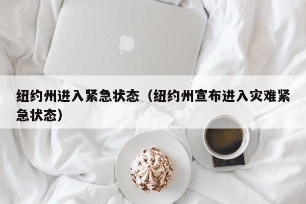 纽约州进入紧急状态（纽约州宣布进入灾难紧急状态）